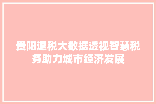 贵阳退税大数据透视智慧税务助力城市经济发展