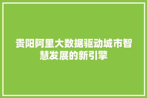 贵阳阿里大数据驱动城市智慧发展的新引擎