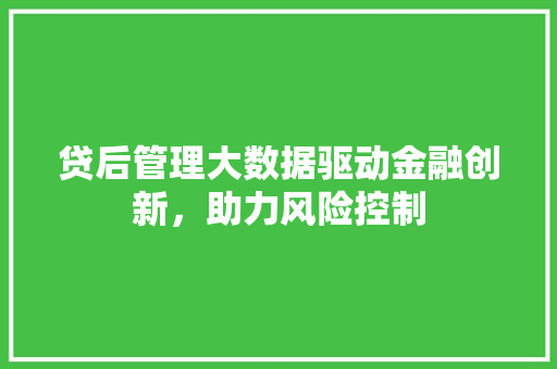 贷后管理大数据驱动金融创新，助力风险控制
