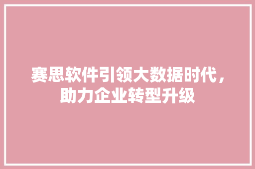 赛思软件引领大数据时代，助力企业转型升级