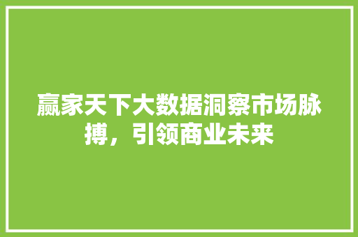 赢家天下大数据洞察市场脉搏，引领商业未来