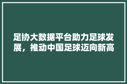 足协大数据平台助力足球发展，推动中国足球迈向新高度