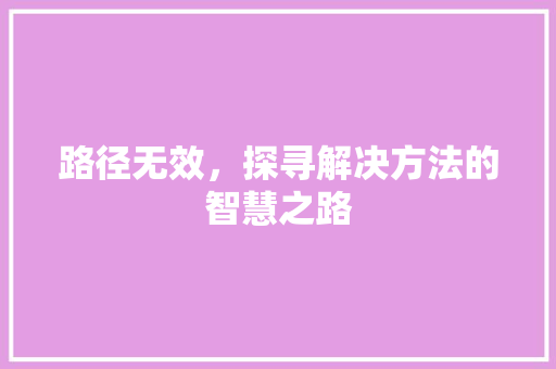 路径无效，探寻解决方法的智慧之路