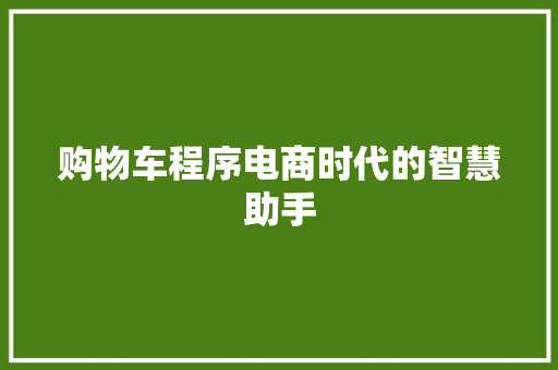 购物车程序电商时代的智慧助手