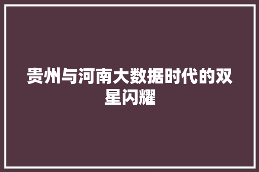 贵州与河南大数据时代的双星闪耀