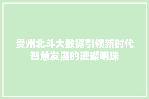 贵州北斗大数据引领新时代智慧发展的璀璨明珠