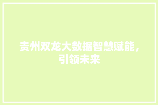 贵州双龙大数据智慧赋能，引领未来