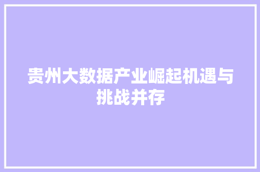 贵州大数据产业崛起机遇与挑战并存 前端技术