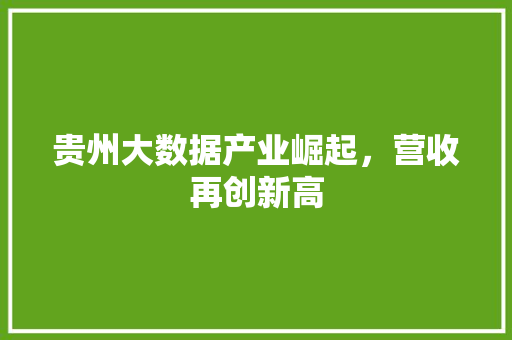 贵州大数据产业崛起，营收再创新高 商务信函