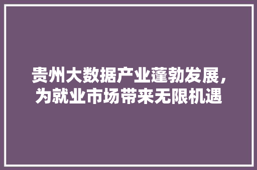 贵州大数据产业蓬勃发展，为就业市场带来无限机遇