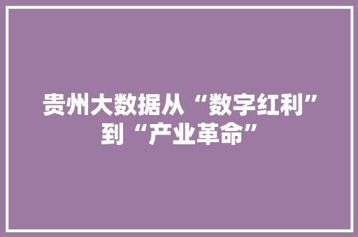 贵州大数据从“数字红利”到“产业革命”