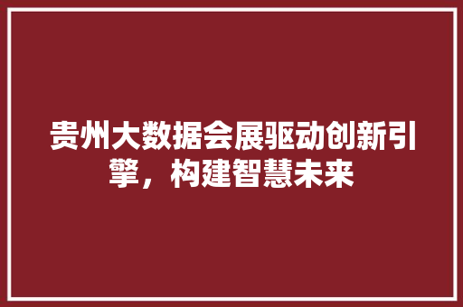 贵州大数据会展驱动创新引擎，构建智慧未来