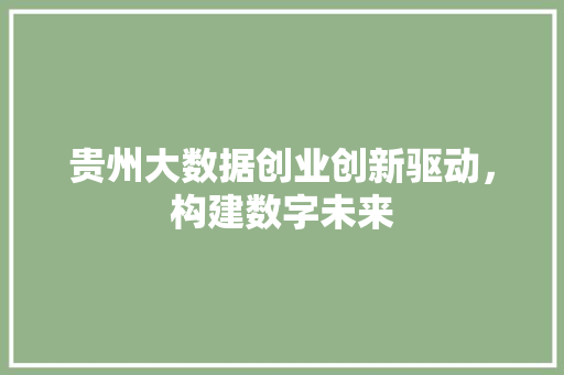 贵州大数据创业创新驱动，构建数字未来