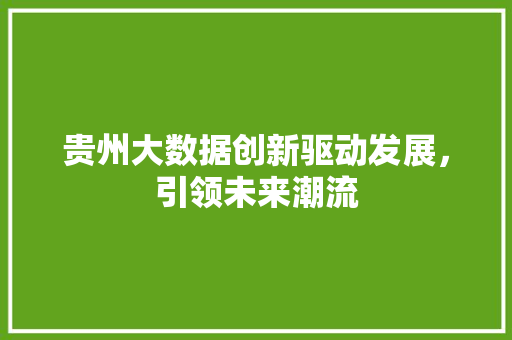 贵州大数据创新驱动发展，引领未来潮流