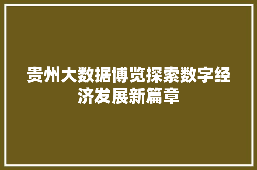 贵州大数据博览探索数字经济发展新篇章