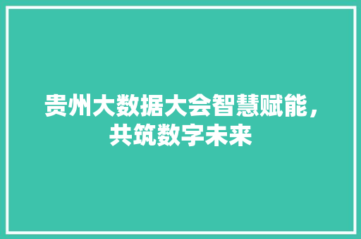 贵州大数据大会智慧赋能，共筑数字未来