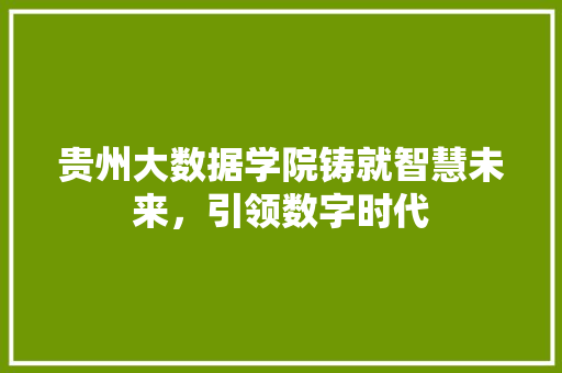 贵州大数据学院铸就智慧未来，引领数字时代