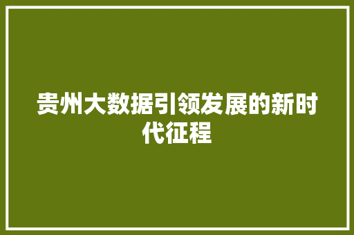 贵州大数据引领发展的新时代征程 后端技术