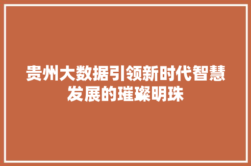 贵州大数据引领新时代智慧发展的璀璨明珠