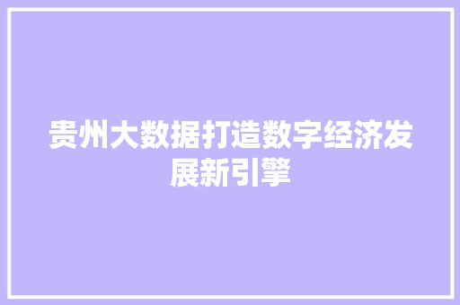 贵州大数据打造数字经济发展新引擎