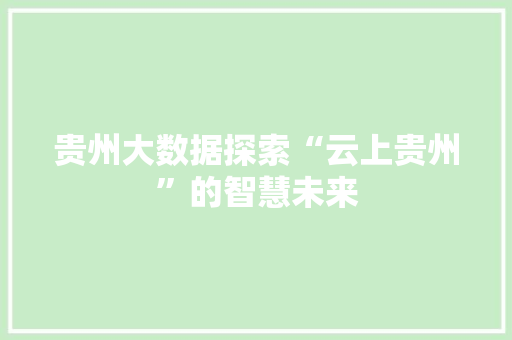 贵州大数据探索“云上贵州”的智慧未来