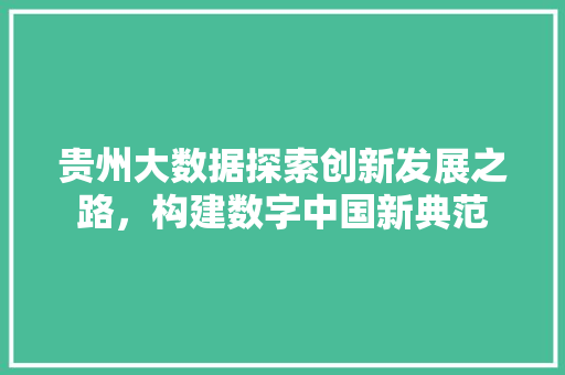 贵州大数据探索创新发展之路，构建数字中国新典范