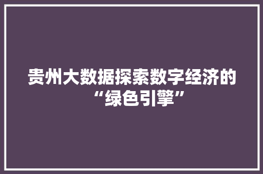 贵州大数据探索数字经济的“绿色引擎”
