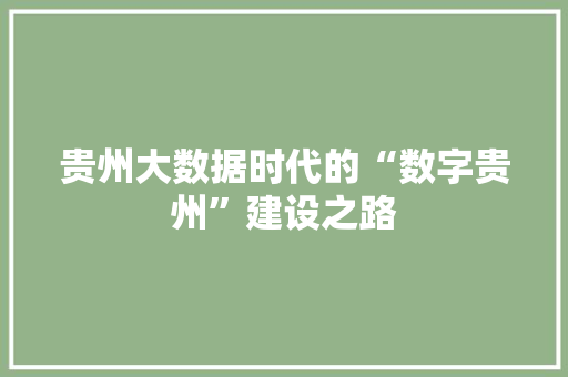 贵州大数据时代的“数字贵州”建设之路