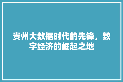 贵州大数据时代的先锋，数字经济的崛起之地 市场营销范文