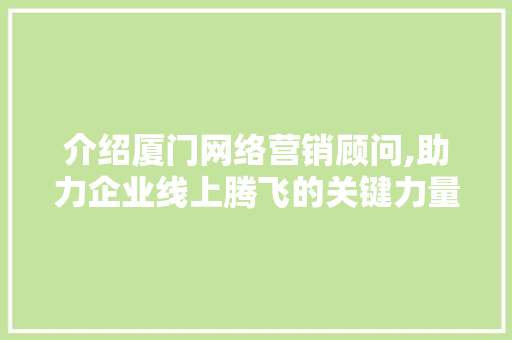 介绍厦门网络营销顾问,助力企业线上腾飞的关键力量