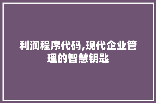 利润程序代码,现代企业管理的智慧钥匙