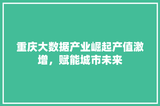 重庆大数据产业崛起产值激增，赋能城市未来