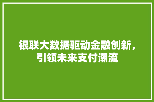 银联大数据驱动金融创新，引领未来支付潮流