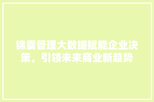 锦囊管理大数据赋能企业决策，引领未来商业新趋势