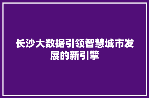 长沙大数据引领智慧城市发展的新引擎