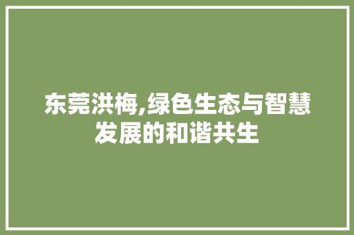 东莞洪梅,绿色生态与智慧发展的和谐共生