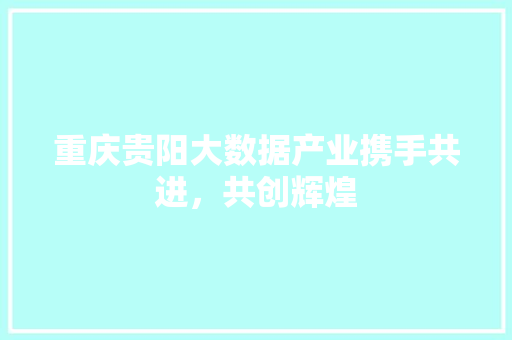 重庆贵阳大数据产业携手共进，共创辉煌