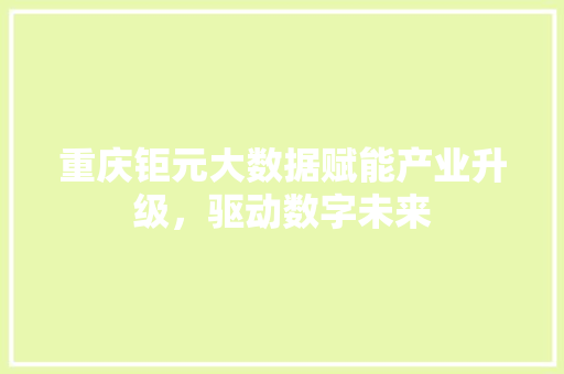 重庆钜元大数据赋能产业升级，驱动数字未来