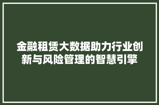 金融租赁大数据助力行业创新与风险管理的智慧引擎