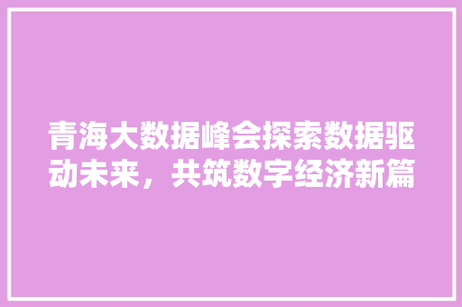 青海大数据峰会探索数据驱动未来，共筑数字经济新篇章