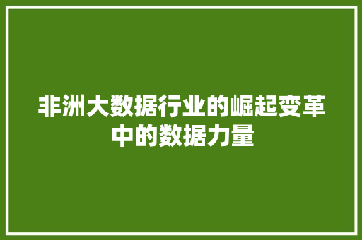 非洲大数据行业的崛起变革中的数据力量