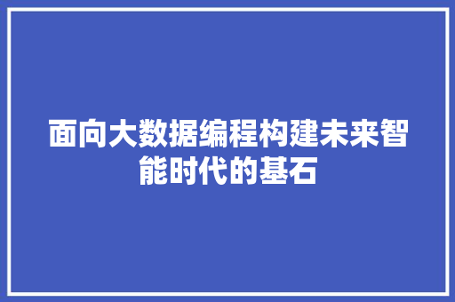 面向大数据编程构建未来智能时代的基石