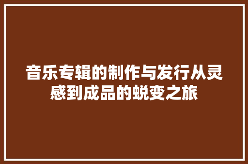 音乐专辑的制作与发行从灵感到成品的蜕变之旅