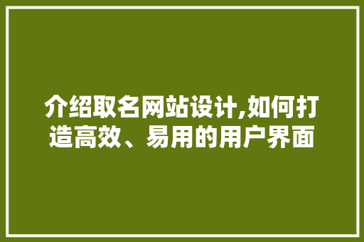 介绍取名网站设计,如何打造高效、易用的用户界面