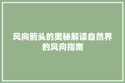 风向箭头的奥秘解读自然界的风向指南