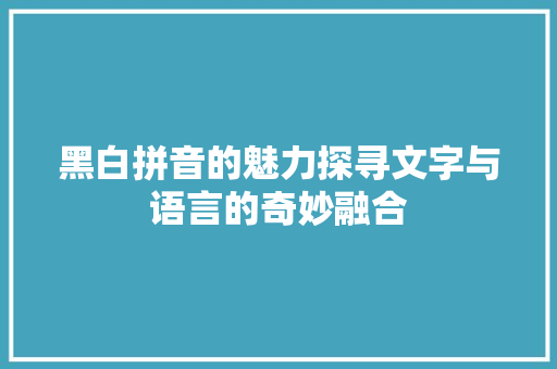 黑白拼音的魅力探寻文字与语言的奇妙融合