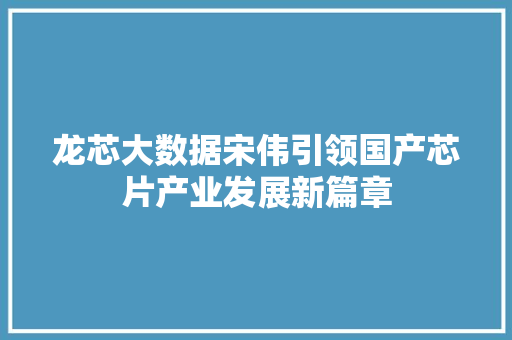 龙芯大数据宋伟引领国产芯片产业发展新篇章