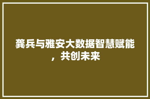 龚兵与雅安大数据智慧赋能，共创未来