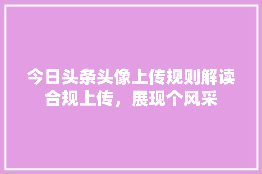今日头条头像上传规则解读合规上传，展现个风采