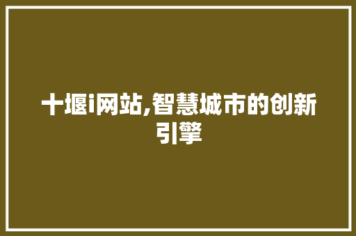 十堰i网站,智慧城市的创新引擎 响应式设计